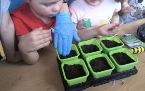 Witamy Wiosnę - tworzymy wiosenny ogródek (5)