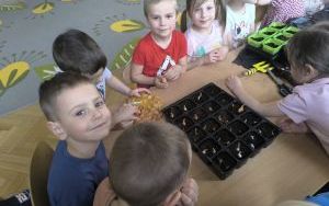 Witamy Wiosnę - tworzymy wiosenny ogródek (6)