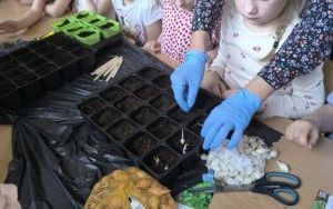 Witamy Wiosnę - tworzymy wiosenny ogródek (7)