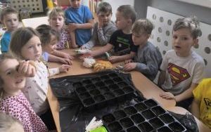 Witamy Wiosnę - tworzymy wiosenny ogródek (8)