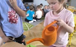 Witamy Wiosnę - tworzymy wiosenny ogródek (2)