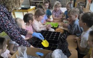 Witamy Wiosnę - tworzymy wiosenny ogródek (9)