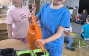 Witamy Wiosnę - tworzymy wiosenny ogródek (3)