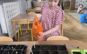 Witamy Wiosnę - tworzymy wiosenny ogródek (12)