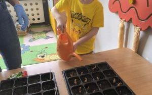 Witamy Wiosnę - tworzymy wiosenny ogródek (14)