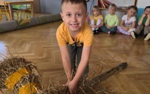 Wiosna, wiosenka (11)