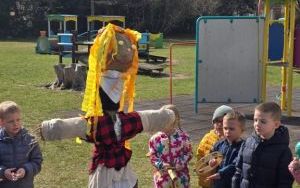 Wiosna, wiosenka (3)