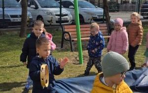 Wiosna, wiosenka (4)