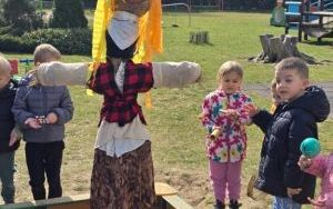 Wiosna, wiosenka (5)