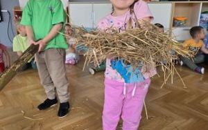 Wiosna, wiosenka (8)