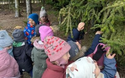 Wielka wyprawa do lasu (9)