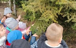 Wielka wyprawa do lasu (11)