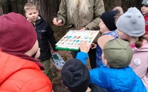 Wielka wyprawa do lasu (7)