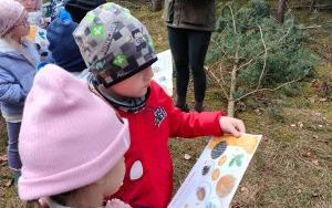 Wielka wyprawa do lasu (6)