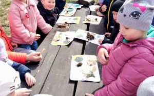 Wielka wyprawa do lasu (1)