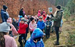 Wielka wyprawa do lasu (12)