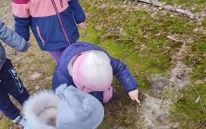 Wielka wyprawa do lasu (1)