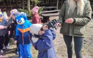 Wielka wyprawa do lasu (2)