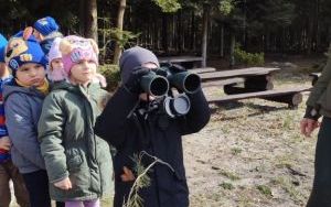 Wielka wyprawa do lasu (4)