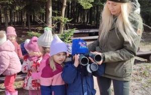 Wielka wyprawa do lasu (6)