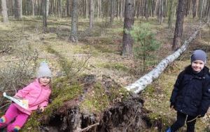 Wielka wyprawa do lasu (8)