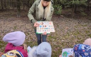 Wielka wyprawa do lasu (3)