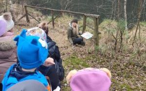 Wielka wyprawa do lasu (4)