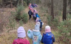 Wielka wyprawa do lasu (5)