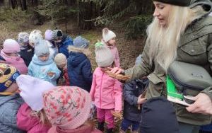 Wielka wyprawa do lasu (6)