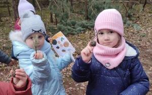 Wielka wyprawa do lasu (8)