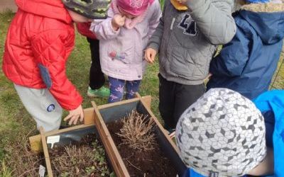 Wiosenne porządki w Ogródku Przedszkolaka (7)