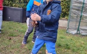 Wiosenne porządki w Ogródku Przedszkolaka (2)