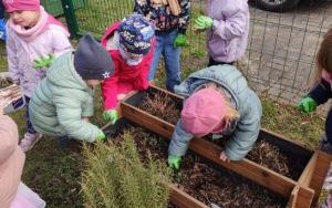 Wiosenne porządki w Ogródku Przedszkolaka (3)