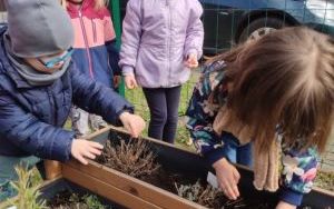 Wiosenne porządki w Ogródku Przedszkolaka (4)