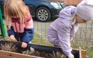 Wiosenne porządki w Ogródku Przedszkolaka (5)