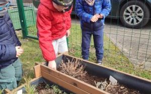 Wiosenne porządki w Ogródku Przedszkolaka (6)