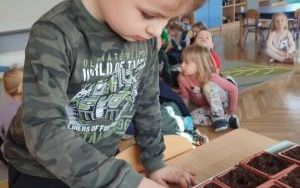 Wiosenne porządki w Ogródku Przedszkolaka (8)