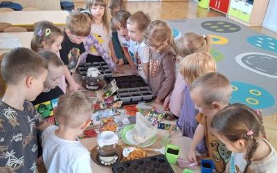 Ogródek w grupie Biedronki (7)