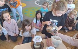 Ogródek w grupie Biedronki (6)