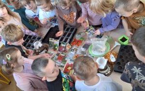 Ogródek w grupie Biedronki (4)