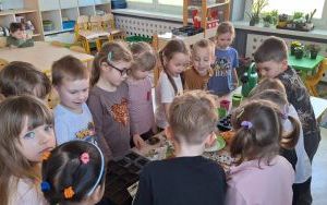 Ogródek w grupie Biedronki (5)