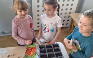 Ogródek w grupie Biedronki (1)