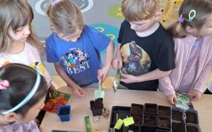 Ogródek w grupie Biedronki (2)