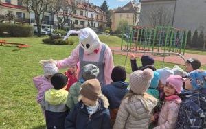 W poszukiwaniu wielkanocnego zajączka (3)