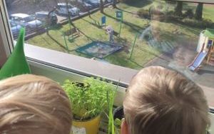 W poszukiwaniu wielkanocnego zajączka (11)