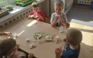 Dlaczego warto jeść nabiał (11)