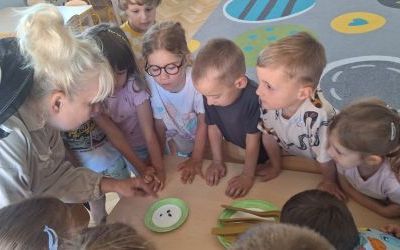 W krainie pracowitych pszczółek (10)