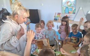 W krainie pracowitych pszczółek (2)