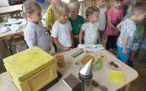 W krainie pracowitych pszczół (4)