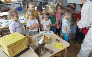 W krainie pracowitych pszczół (5)